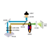 什么是熒光定量PCR、數字PCR？